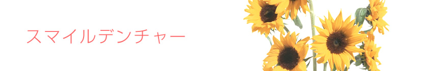 �X�}�C���f���`���[